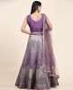Fancy Heavy Organza Fabric with Elegant Real Mirror & Codding work Lehenga